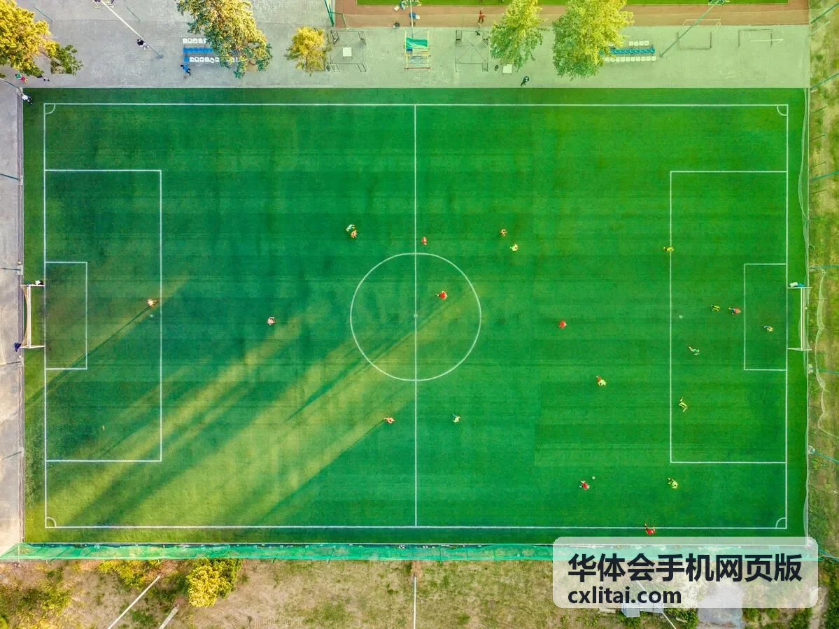 华体会手机网页版账号设置与偏好项调整界面