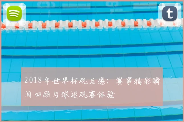 2018年世界杯观后感：赛事精彩瞬间回顾与球迷观赛体验