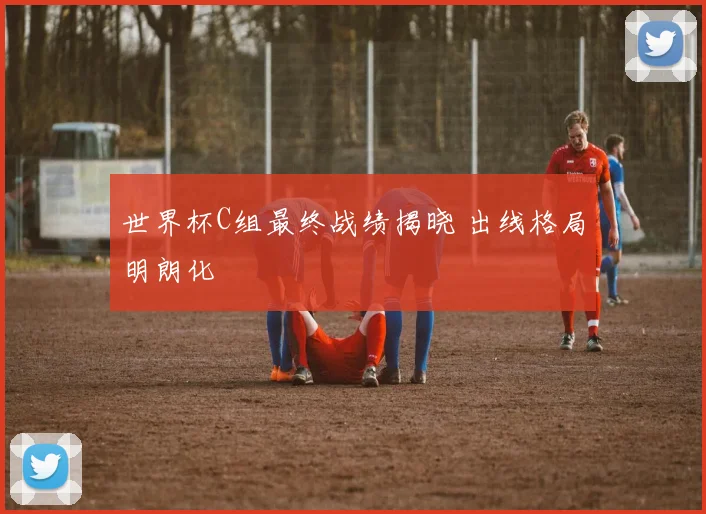 世界杯C组最终战绩揭晓 出线格局明朗化